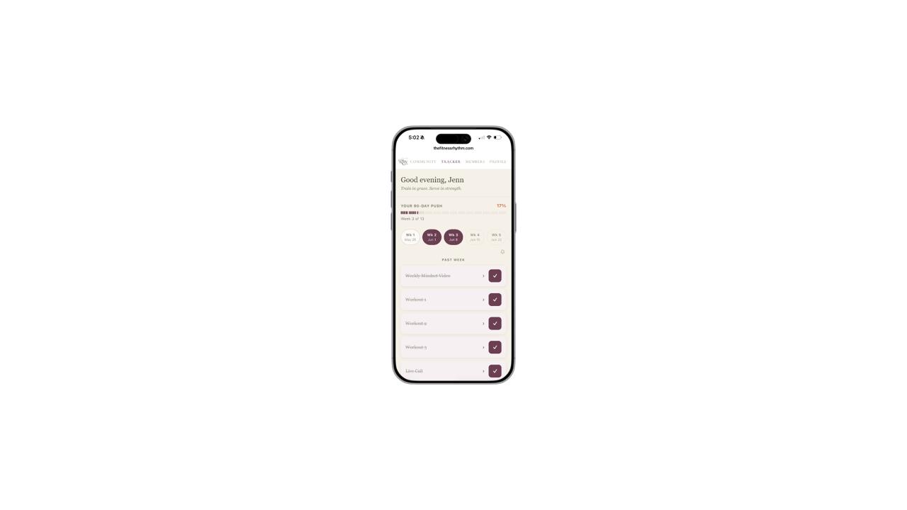 The 3-day progress tracker on iPhone